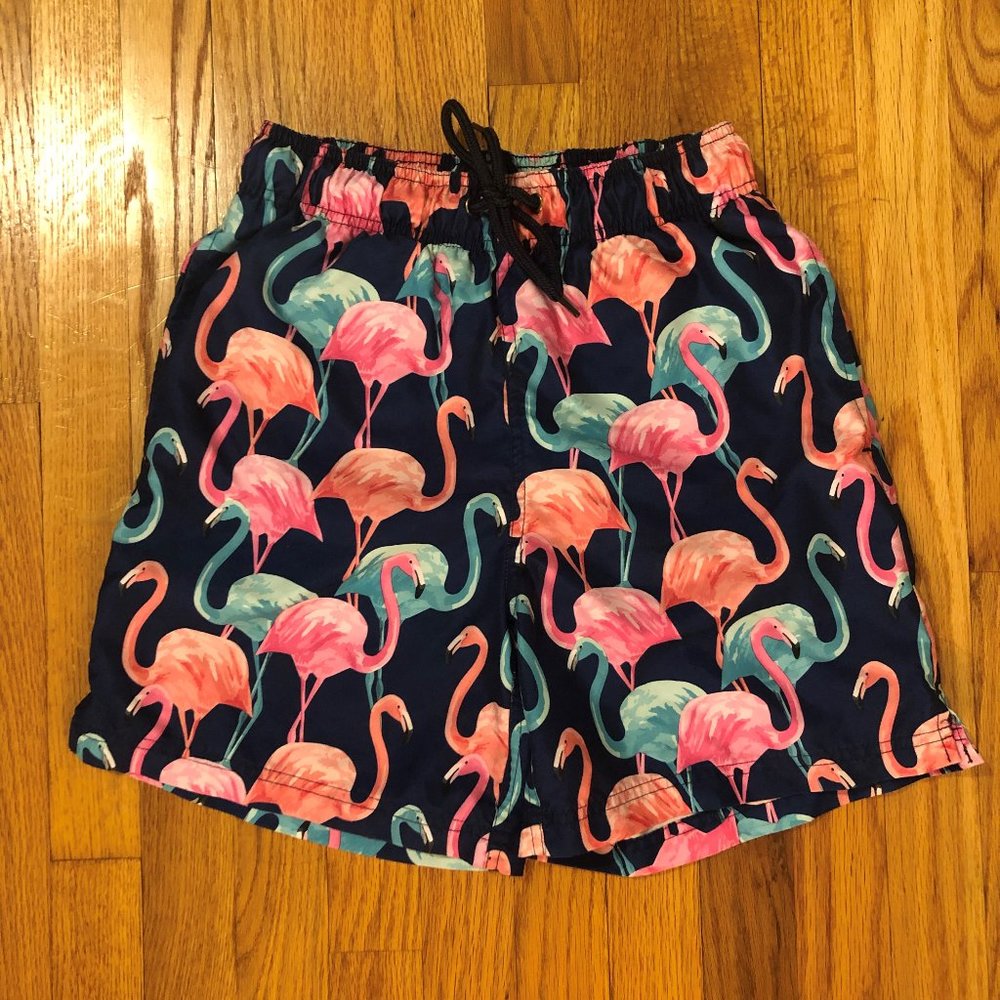New Mens Flamingo Swimsuit